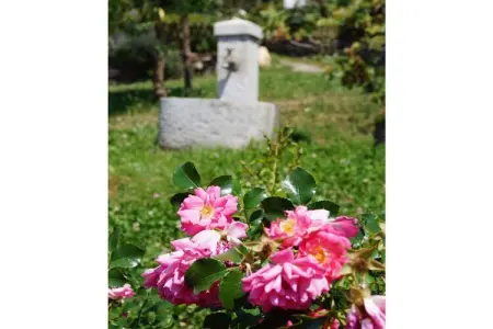 Wohlfühloase Grumserhof à Meran, 4 personnes : photo 5