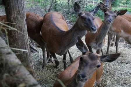Wohlfühloase Grumserhof à Meran, 4 personnes : photo 16