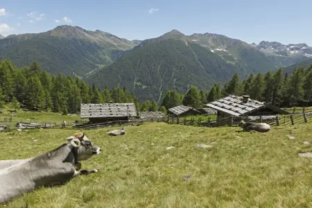 Maison avec jardin à la ferme Weinmesserhof, Merano : photo 11