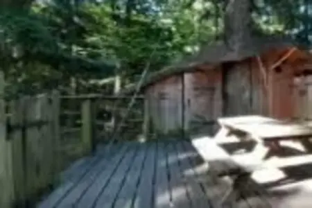 Chalet perché Castor pour 4 à Saint Julien Labrousse : photo 1
