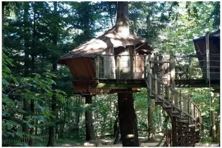 Chalet perché Castor pour 4 à Saint Julien Labrousse : photo 7