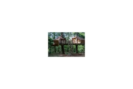 Chalet perché Castor pour 4 à Saint Julien Labrousse : photo 8