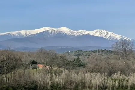 Maison Lagune bleue Gruissan, pieds dans l'eau : photo 30