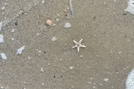 Maison Lagune bleue Gruissan, pieds dans l'eau : photo 35