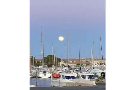 Maison Lagune bleue Gruissan, pieds dans l'eau : photo 37