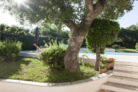 212311, Appartement de vacances avec 1 chambre - Photo 6
