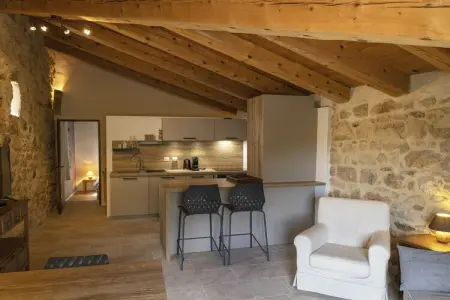 Maison 8 chambres avec 2 piscines à Laurac-en-Vivarais : photo 6