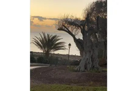 246895, Appartement de vacances d'Amina à Fuerteventura - Photo 37