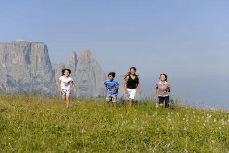 Maison écologique aux Dolomites, vue Schlern : photo 15