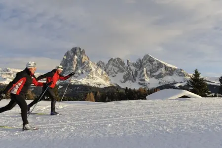Maison écologique aux Dolomites, vue Schlern : photo 17