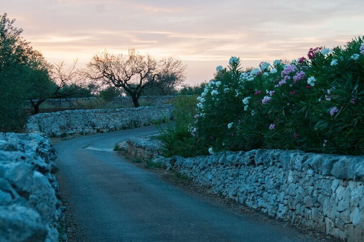 Trullo Giulio avec piscine et spa, Martina Franca - Photo 9