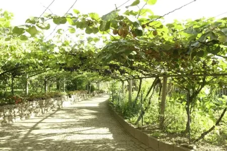 Stöckerhof : maison à la ferme du XIIIe siècle à Meran : photo 6