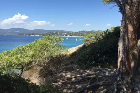 Maison 6 personnes Cavalaire-sur-Mer, vue mer et piscine : photo 22
