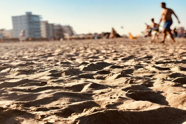 Maison 3 chambres avec vue mer à 5 m de Playa Nord - Photo 66