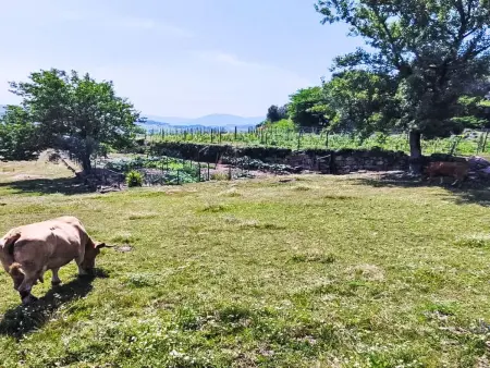 Villa Picturesque à Alvite avec piscine privée : photo 37