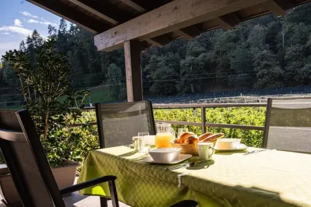 Maison Wiesgut à Tisens, en lisière de forêt : photo 9