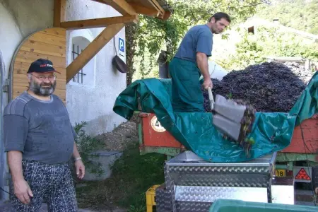Maison vignoble Kurtatsch, 1 chambre, pain frais : photo 9