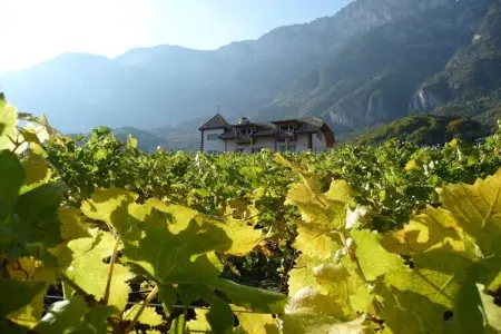 Maison vignoble Kurtatsch, 1 chambre, pain frais : photo 12
