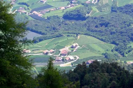 Maison vignoble Kurtatsch, 1 chambre, pain frais : photo 17