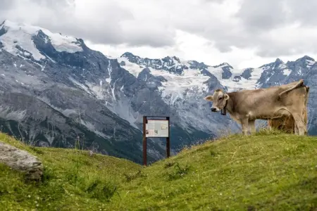 Maison 2 pers. Martelltal, cœur du Parc du Stelvio : photo 20
