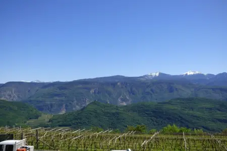 Maison vacances Kaltern, terrasse vue vignobles : photo 25