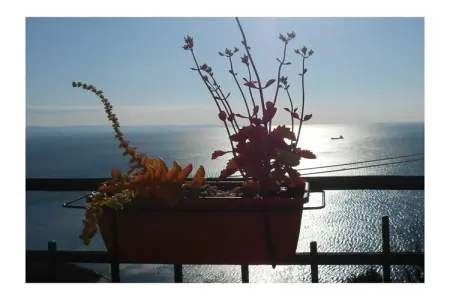 Maison Trieste vue mer, 2 chambres, terrasses : photo 3