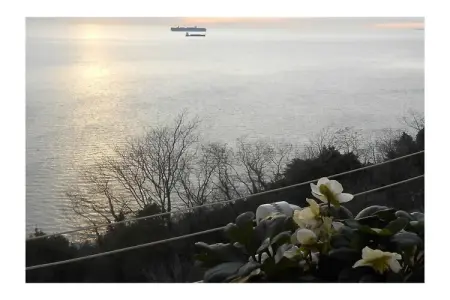 Maison Trieste vue mer, 2 chambres, terrasses : photo 5