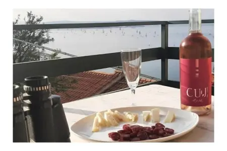 Maison Trieste vue mer, 2 chambres, terrasses : photo 6