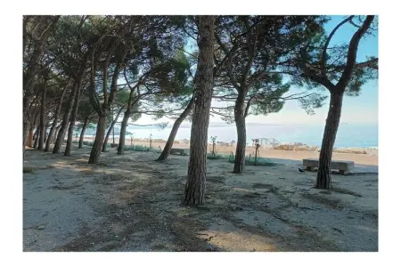 Maison Trieste vue mer, 2 chambres, terrasses : photo 28