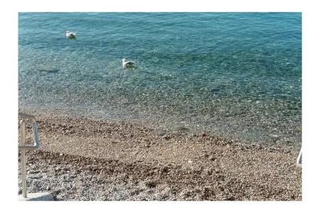 Maison Trieste vue mer, 2 chambres, terrasses : photo 33