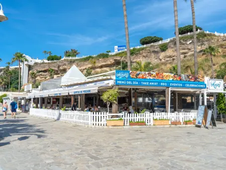 Tahiti 2 7 by Casasol, appartement Nerja : photo 42