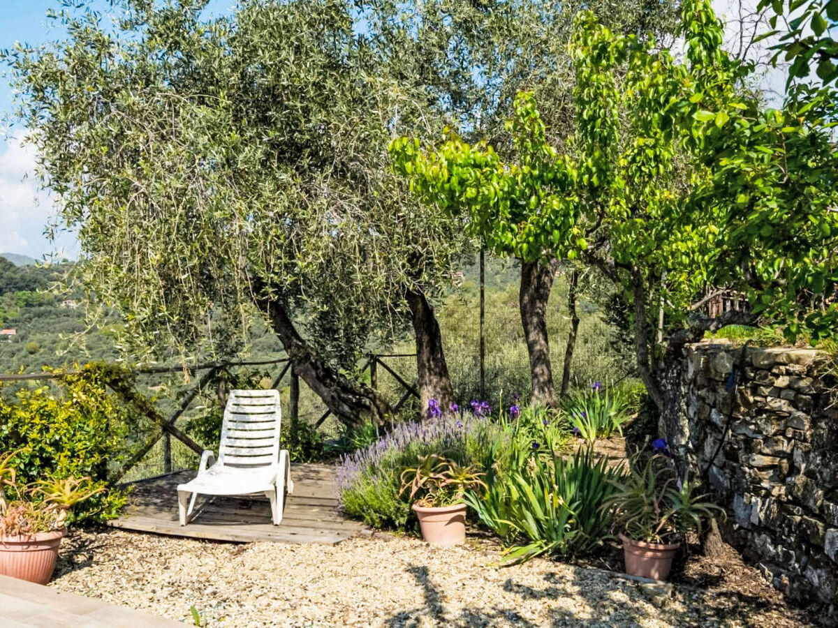 Viletta Ulivo – Gîte 4 pers. avec piscine privée - Photo 15