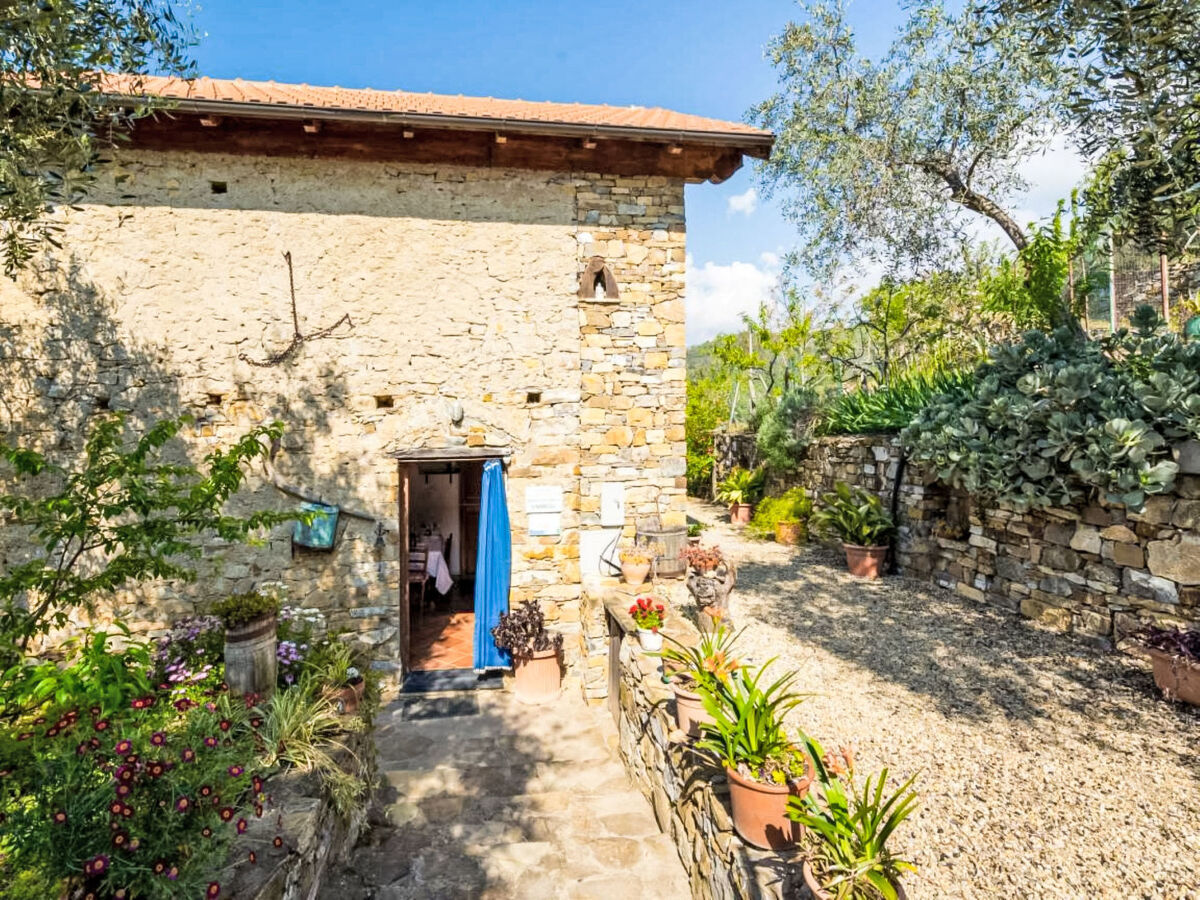 Viletta Ulivo – Gîte 4 pers. avec piscine privée - Photo 16