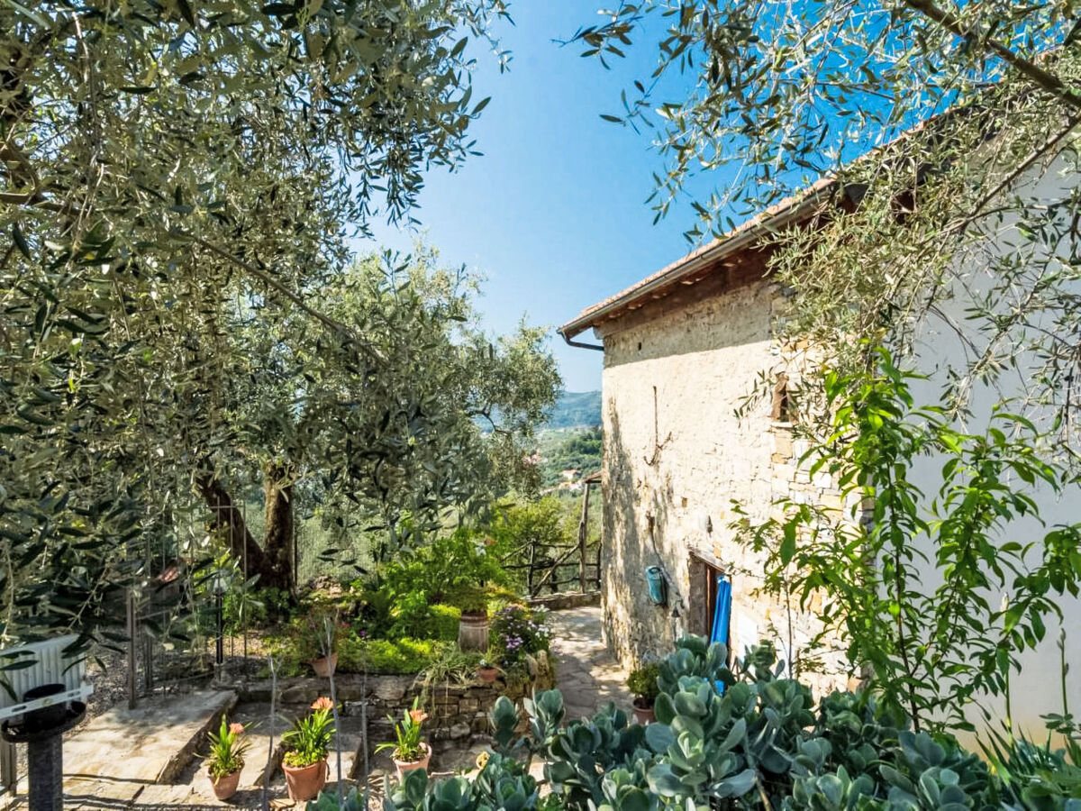 Viletta Ulivo – Gîte 4 pers. avec piscine privée - Photo 17