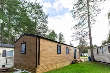 Mobil-home Heidestrand 1 - 6 pers. à Zonhoven : photo 13