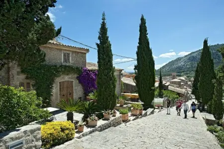 481331, Villa à 1 chambre - Photo 29