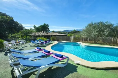 481322, Villa à Pollensa avec piscine - Photo 11