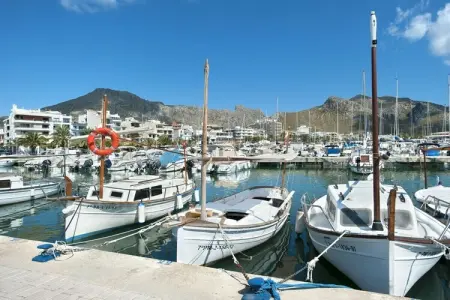 481322, Villa à Pollensa avec piscine - Photo 26