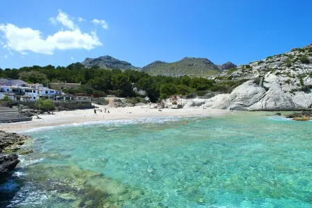 481322, Villa à Pollensa avec piscine - Photo 28
