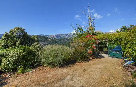 Maison rustique Marignana, 3 chambres, vue mer et montagne : photo 13
