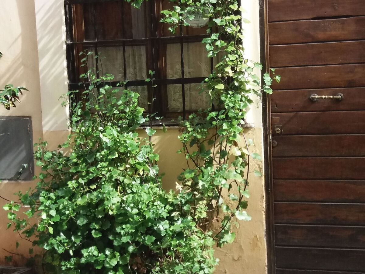 Studio indépendant Trastevere, cœur historique de Rome - Photo 16