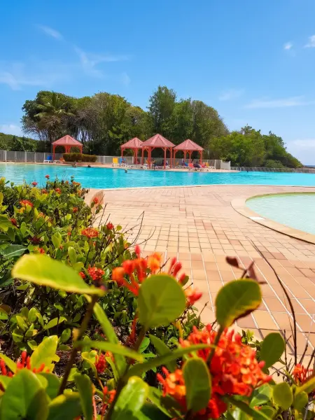 Appartement Les Alizés à Saint-François avec piscine partagée : photo 17