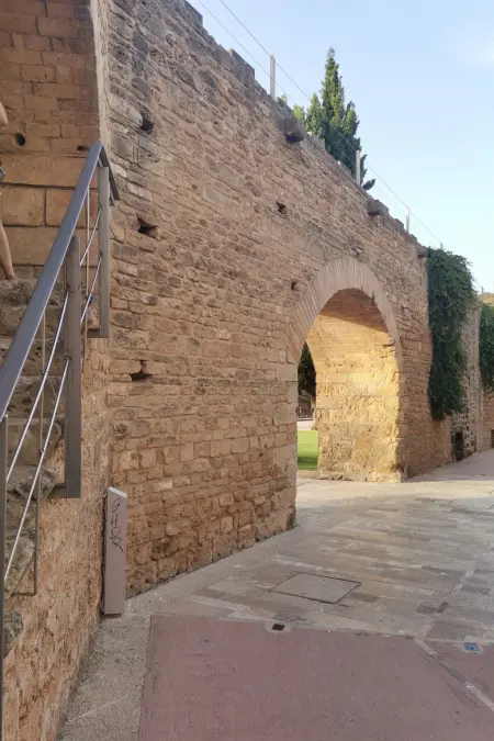 Appartement 3 pièces vue mer et port à Alcúdia, 5 personnes : photo 30