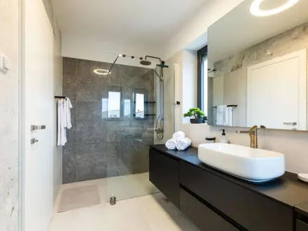 Villa Positiva avec piscine chauffée à Vir : photo 40