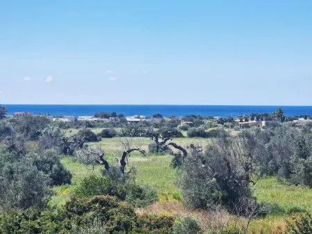 Villa Tenuta Mimmi à Alliste, piscine privée : photo 51