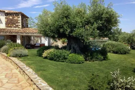 Villa Bougainvillea à Castiadas, 4 chambres piscine : photo 3