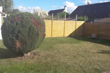 Maison 4 personnes, jardin plein sud à De Panne : photo 3