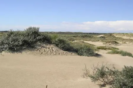 Maison 4 personnes, jardin plein sud à De Panne : photo 18