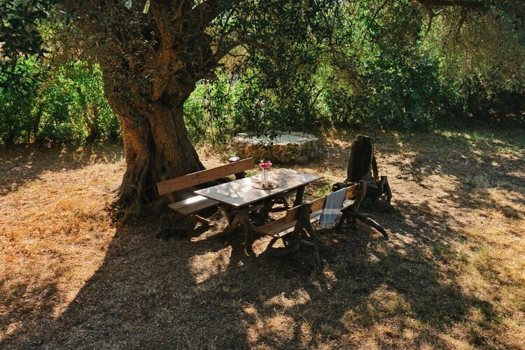 Villa Mûrier à Aregno, maison 6 pers. jardin méditerranéen - Photo 5