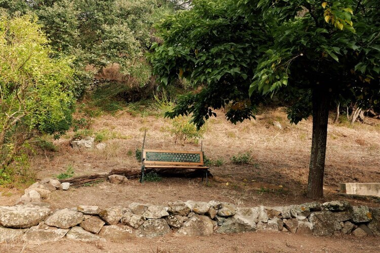 Villa Mûrier à Aregno, maison 6 pers. jardin méditerranéen - Photo 10